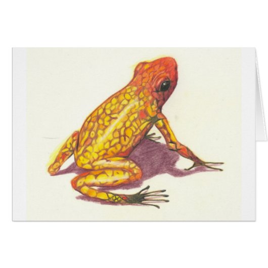 Tree Frog Cards (Front Horizontal)