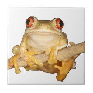 Tree Frog Ceramic Tile