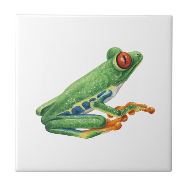 Tree frog ceramic tile (Front)