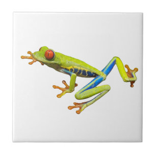 Tree Frog Ceramic Tile