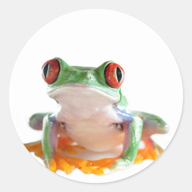 tree frog classic round sticker (Front)