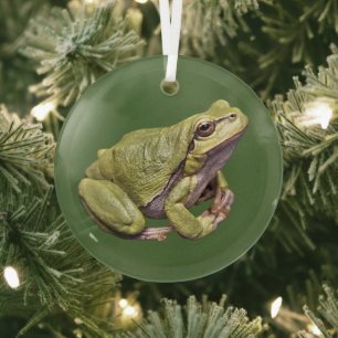 Tree Frog Cute Zen Frog Glass Ornament