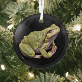 Tree Frog Cute Zen Frog  Glass Ornament