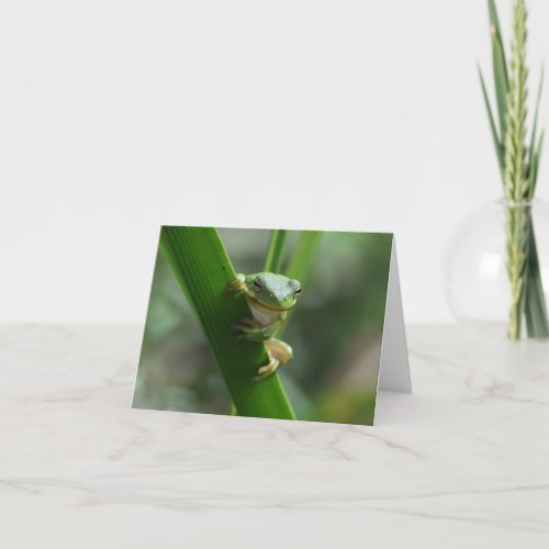 Tree Frog Friendship Greeting Card