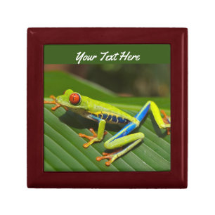 Tree Frog Gift Box