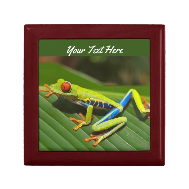 Tree Frog Gift Box (Front)
