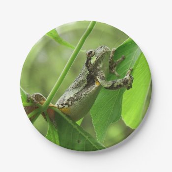 Tree Frog Hanging On Paper Plates by WackemArt at Zazzle