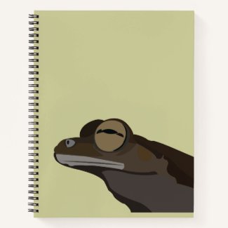 Tree Frog Illustration