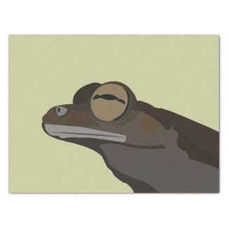 Tree Frog Illustration