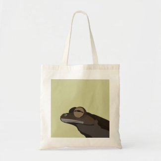 Tree Frog Illustration