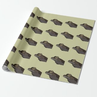 Tree Frog Illustration