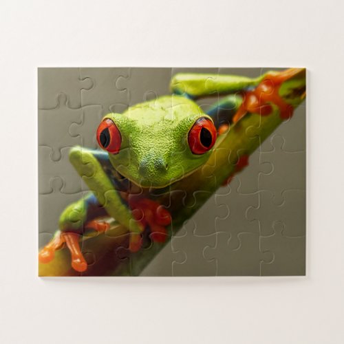 Tree Frog Looking at You with Red Eyes Jigsaw Puzzle