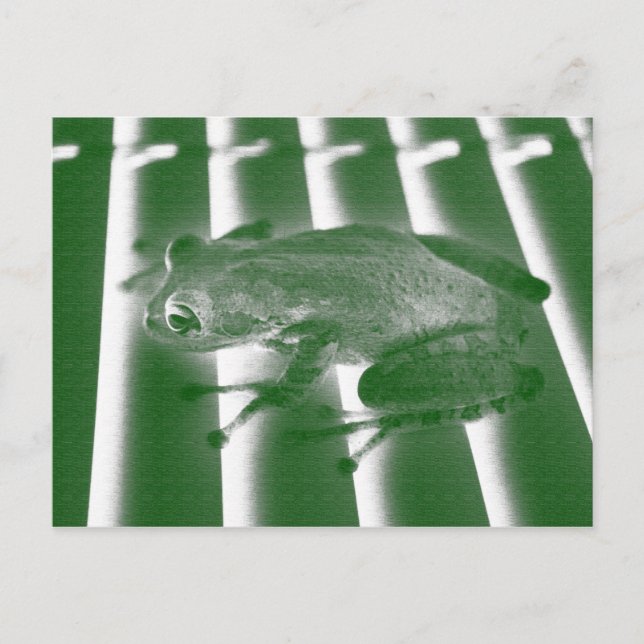 tree frog looking left green sketch animal design postcard (Front)