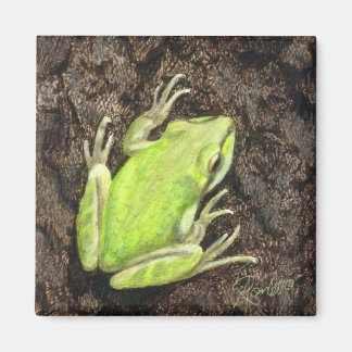 Tree Frog Magnet - "Envy Green"