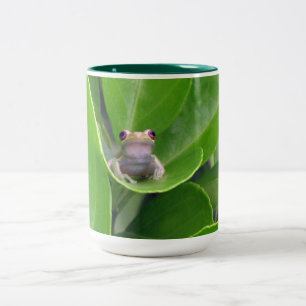 Tree Frog Mug