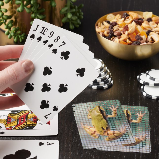 Tree Frog On Screen Close Up Photograph Poker Cards (In Situ)