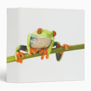 Tree frog on stem 3 ring binder