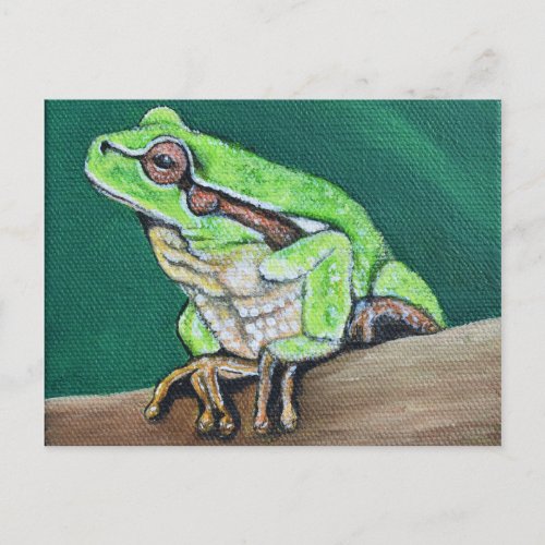 Tree Frog Painting Postcard