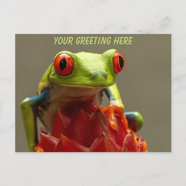 Tree Frog Personalized Postcard (Front)