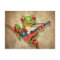 Tree Frog Playing Chilean Flag Guitar