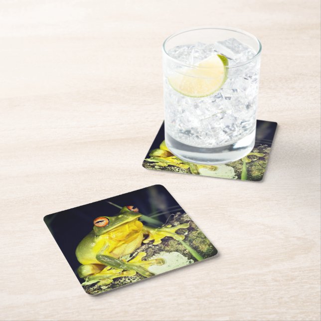 Tree Frog Square Paper Coaster (Insitu)