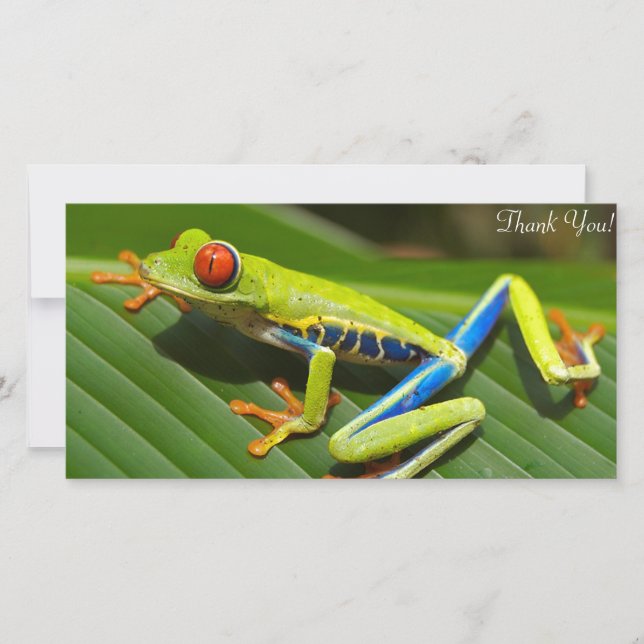Tree Frog Thank You Card (Front)