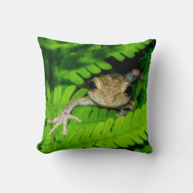 Tree Frog Throw Pillow (Front)