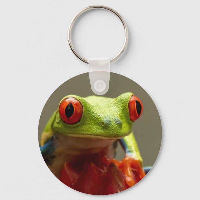 Tree Frog with Red Eyes in Costa Rica Keychain (Front)