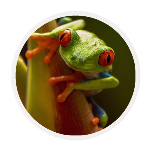 Tree Frog with Red Eyes Looking at You Edible Frosting Rounds