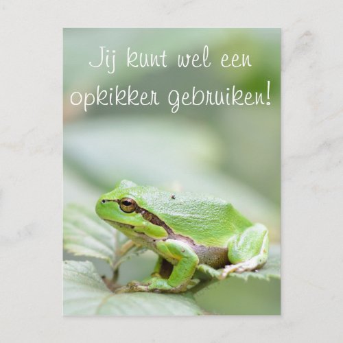 Tree frog with the text Opkikker postcard