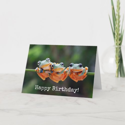 Tree Frogs Trio _ Birthday Card