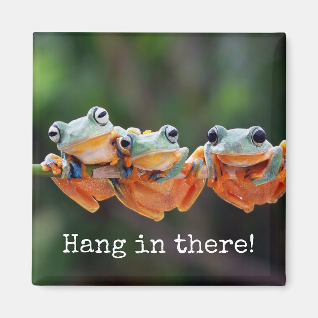 Tree Frogs Trio - Hang in There Magnet (Front)