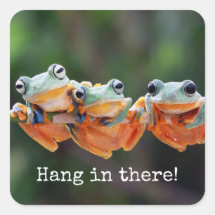 Tree Frogs Trio - Hang in There Square Sticker