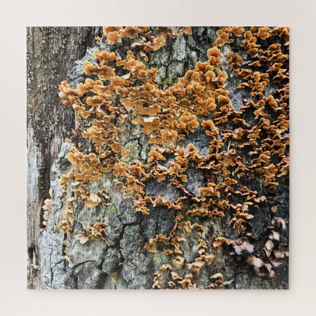 tree fungi jigsaw puzzle (Vertical)