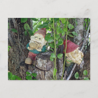 TREE GNOMES POSTCARD