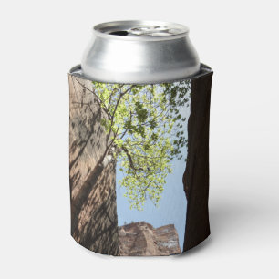 Tree Growing Between Rocks at Zion National Park Can Cooler