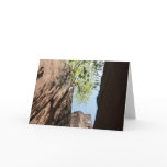 Tree Growing Between Rocks at Zion National Park Card