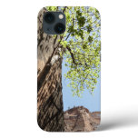 Tree Growing Between Rocks at Zion National Park iPhone 13 Case