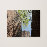 Tree Growing Between Rocks at Zion National Park Jigsaw Puzzle