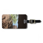 Tree Growing Between Rocks at Zion National Park Luggage Tag