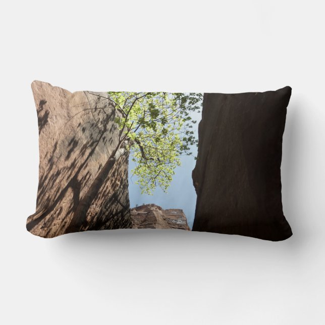 Tree Growing Between Rocks at Zion National Park Lumbar Pillow (Front)