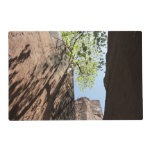 Tree Growing Between Rocks at Zion National Park Placemat