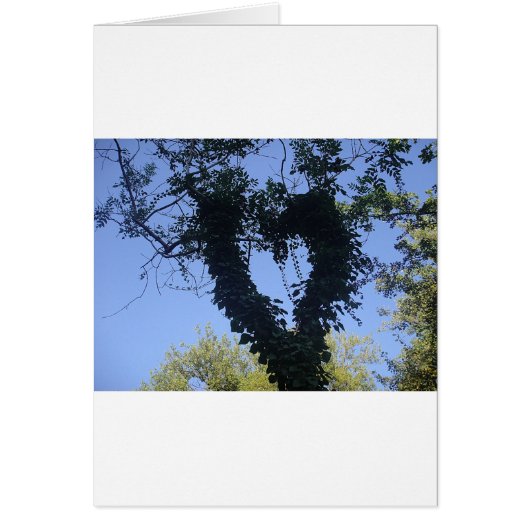 Tree heart cards (Front)