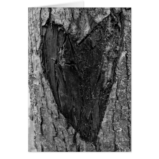 Tree Heart Carving Cards (Front)
