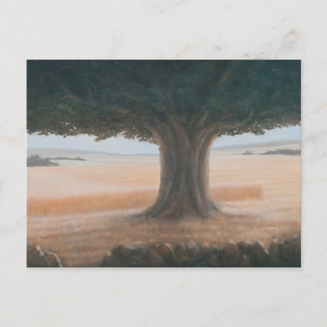 Tree Holwell 2012 Postcard (Front)