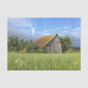 Tree Hugged Slanted Roof Barn in a Flower Field Tissue Paper