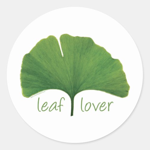 Tree Hugger Leaf Lover _ Ginkgo Classic Round Sticker