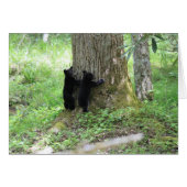 Tree Huggers Cards (Front Horizontal)