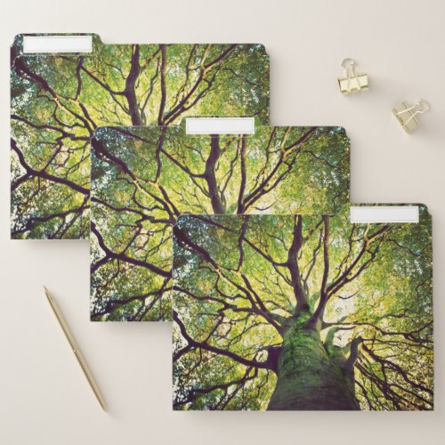 Tree Hugging File Folder