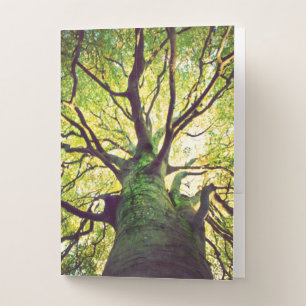 Tree Hugging Pocket Folder